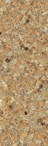 TPX1164 - Tripix Images