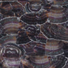 TPX1328 - Tripix Images