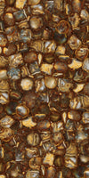 TPX1339 - Tripix Images