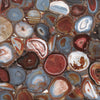TPX1366 - Tripix Images