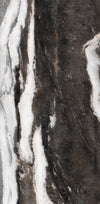 TPX1545 - Tripix Images