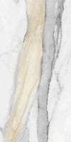 TPX1546 - Tripix Images