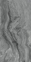 TPX1547 - Tripix Images