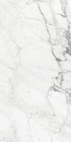 TPX2184 - Tripix Images