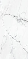 TPX2193 - Tripix Images