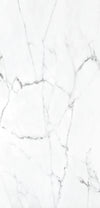 TPX2193 - Tripix Images