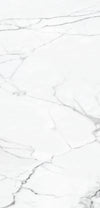 TPX2193 - Tripix Images