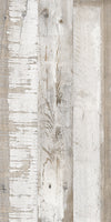 TPX2221 - Tripix Images