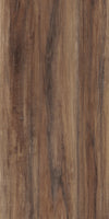 TPX2231 - Tripix Images