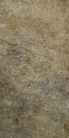 TPX2315 - Tripix Images