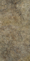 TPX2315 - Tripix Images