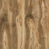 TPX2337 - Tripix Images