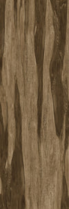 TPX2364 - Tripix Images