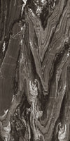 TPX2463 - Tripix Images