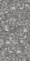 TPX2539 - Tripix Images