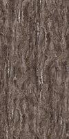 TPX2556 - Tripix Images
