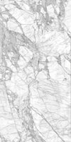 TPX2561 - Tripix Images