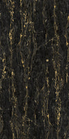 TPX2587 - Tripix Images