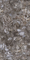 TPX2594 - Tripix Images