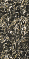 TPX2667 - Tripix Images