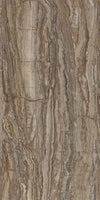 TPX2934 - Earthy Walnut Travertine Complex Vein - Tripix Images