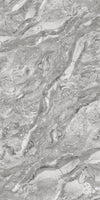 TPX2939 - Tripix Images