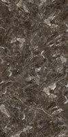 TPX2945 - Tripix Images