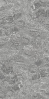 TPX2999 - Tripix Images