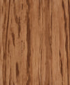 TPX3142 - Tripix Images