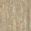 TPX3143 - Tripix Images