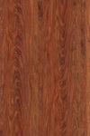 TPX3339 - Tripix Images