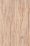 TPX3342 - Tripix Images