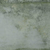 TPX3593 - Tripix Images