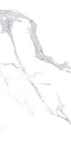 TPX3705 - Tripix Images
