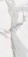 TPX3719 - Tripix Images
