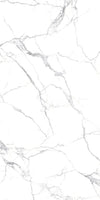 TPX3831 - Tripix Images