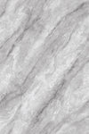 TPX3855 - Tripix Images