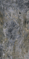 TPX3923 - Tripix Images